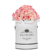 Luxury - Fresh Bicolour Roses